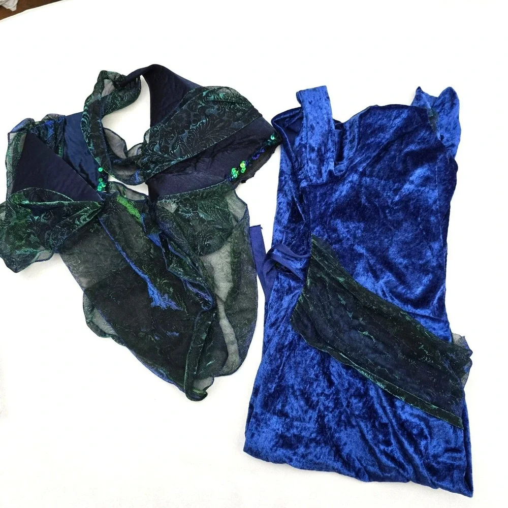 Child 2pc Costume Size 4-6X Sorceress Dress and Hat With Veil Halloween